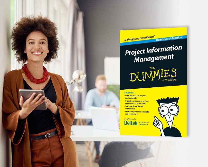 Project Information for Dummies