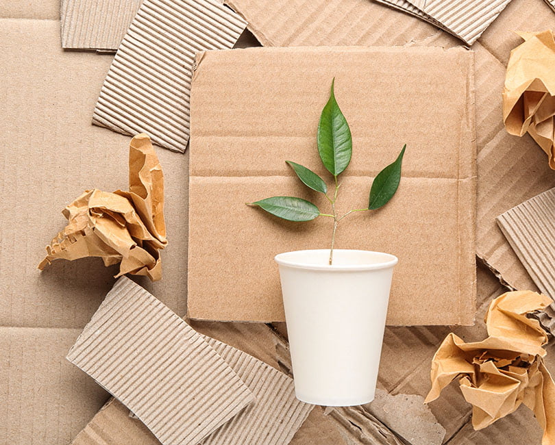 how packaging manufacturers can leverage esg