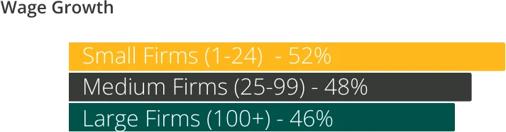 AEC Outlook Survey 2023 - Wage Growth - Breakdown
